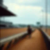 An In-Depth Look at Horse Race Tracks in the USA Introduction