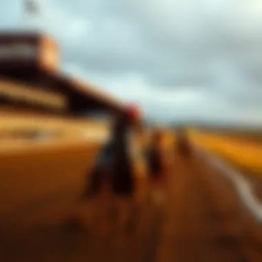 An In-Depth Look at Horse Race Tracks in the USA Summary