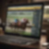 Online betting platform interface for horse racing